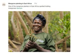 skytrail impact journey